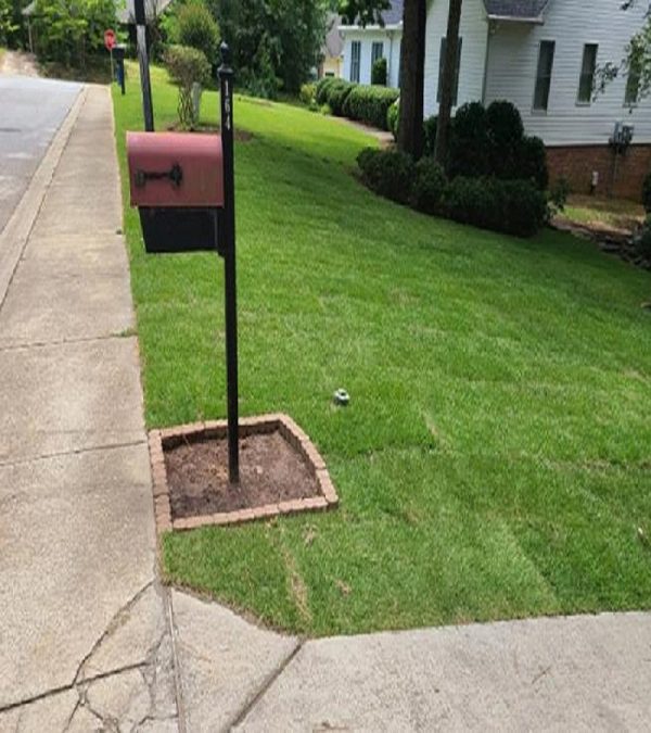 Pinestrawinstallation Lexington, SC McFadden Lawn Specialist