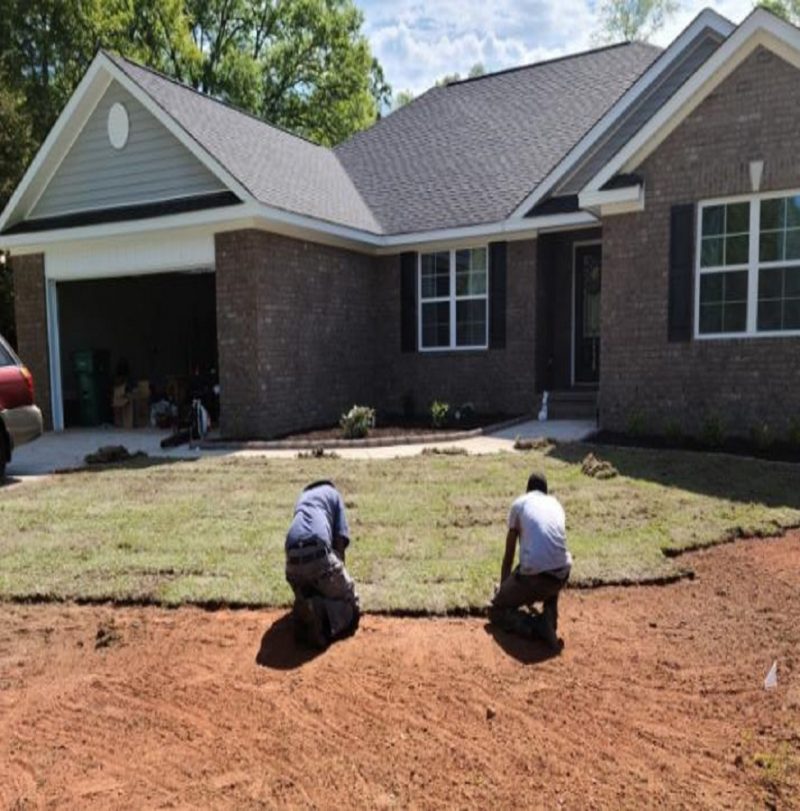 Lawncareservices Lexington, SC McFadden Lawn Specialist